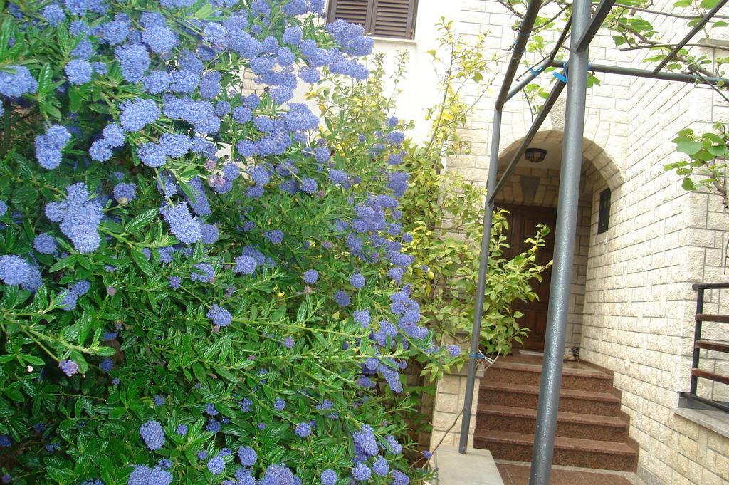 Apartments Sasha بولا الغرفة الصورة