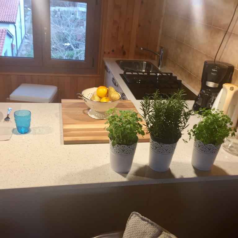 Apartments Sasha بولا المظهر الخارجي الصورة